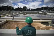 Modernización de Planta Tibitoc podría alterar temporalmente el color del agua en norte de Bogotá