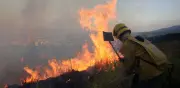 Más de 32.000 incendios regionales amenazan calidad del aire en Bogotá: autoridades intensifican controles