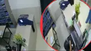 Mujer usa a niño para robar en local de Bosa, Bogotá: video evidencia táctica criminal
