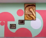 Museo de Arte Moderno de Medellín presenta ciclo expositivo sobre cuerpo, territorio y alimentación