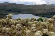 Parque Nacional Sumapaz no permite ecoturismo por falta de condiciones técnicas y operativas