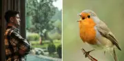 ¿Pájaros cantando en su hogar? Descubra el significado profundo detrás de este fenómeno natural