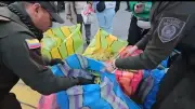 Policía incauta más de 140 kilos de palmas y especies protegidas en Domingo de Ramos en Bogotá