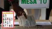 ¿Pueden renunciar los ganadores de las consultas del 8 de marzo y apoyar otra candidatura presidencial?