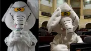 Quién es 'Elefante Blanco': el nuevo senador que vigila desde un disfraz