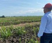 Riopaila designa nueva Junta Directiva y aprueba distribución de utilidades en asamblea