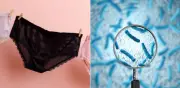 Ropa interior con bisfenoles: alerta por riesgo de cáncer y alteraciones hormonales