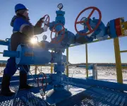 Rusia prohíbe exportaciones de gasolina desde abril ante crisis de precios globales