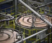 Rusia suspende exportaciones de nitrato de amonio por un mes ante crisis de suministro global