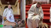 Sacerdotes transforman iglesias en refugios para animales abandonados