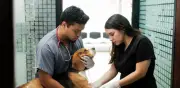 Síntoma en perros que muchos dueños ignoran y podría ser mortal: veterinarios alertan