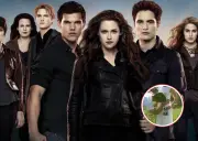 Taylor Lautner, estrella de Crepúsculo, anuncia que será padre por primera vez