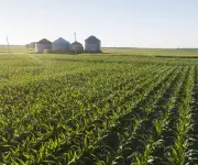 Trump anuncia inyección de US$12.000 millones al agro y lanzamiento de web 'OnlyFarms'