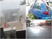 Vendaval azota norte de Cali: árboles caídos, cortes eléctricos y vías bloqueadas