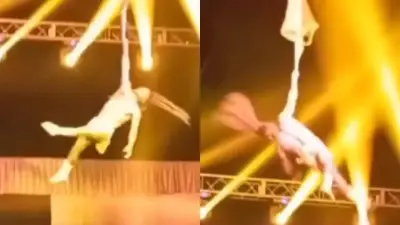 Acróbata sufre grave caída durante función de circo reconocido en Colombia