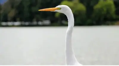 Actualizan la ISO 14001: norma clave para reducir emisiones globales