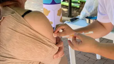 Alerta por fiebre amarilla en Semana Santa: 182 casos y 81 muertes en Colombia