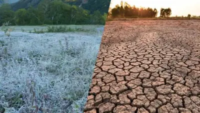 Alerta por posible 'Súper El Niño' en 2026: Colombia se prepara ante impactos climáticos severos