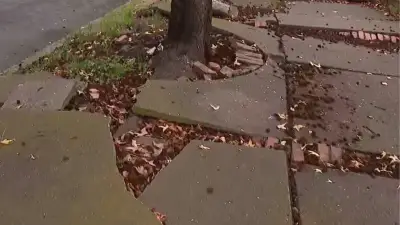 Andenes de Ciudad Salitre: Peligro por deterioro y microtráfico en Bogotá