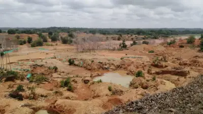 ANM advirtió desde 2025 sobre ilegalidad en mina La Mandinga en Bajo Cauca