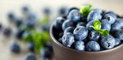 Arándanos colombianos apuntan a Brasil, China y México con expansión del 20% en cultivos para 2026