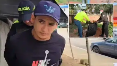 Asesino de la perrita Kira se declara culpable y enfrenta hasta 6 años de cárcel