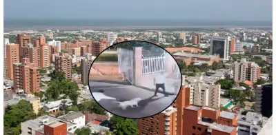 Ataque de pitbull sin bozal en Barranquilla mata a yorkie: familia anuncia demanda legal