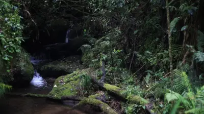 Bogotá cerrará senderos ecológicos en Jueves y Viernes Santo 2026 por seguridad