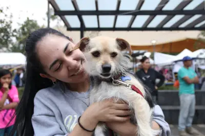 Bogotá impulsa jornadas de adopción animal bajo el lema 'Adoptar es Amar sin Condiciones'