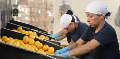 Bogotá lanza convocatoria para que mipymes vendan en plataformas digitales nacionales e internacionales