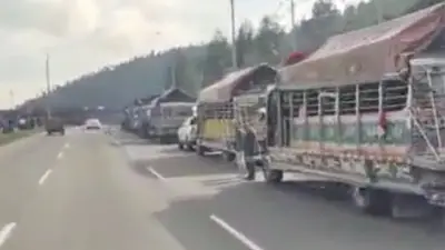 Bogotá recibe masiva movilización indígena Misak: 800 personas llegan por la vida y el territorio