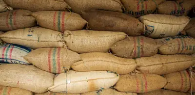 Caficultura colombiana enfrenta crisis por clima y revaluación del peso