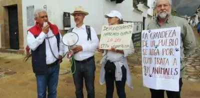Caso aberrante de maltrato animal en Nariño: perro callejero muere tras agresión con agua hirviendo