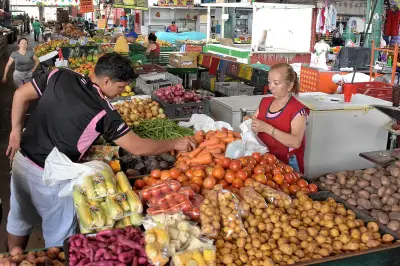Cavasa reporta estabilidad en precios pese a baja oferta por ataques en Panamericana