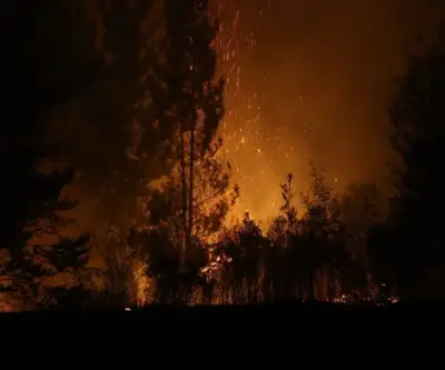 Chile declara alerta temprana por incendios en Valparaíso