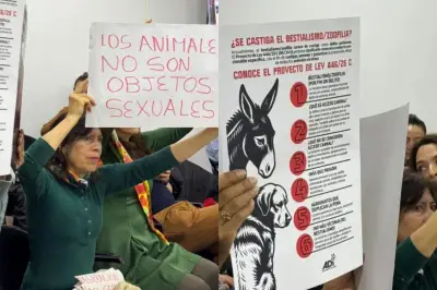 Colombia cerca de penalizar la zoofilia: penas de cárcel y multas en debate final