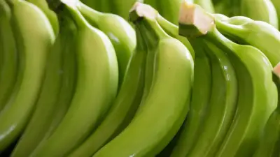 Colombia, tercer exportador de banano en América Latina en 2025