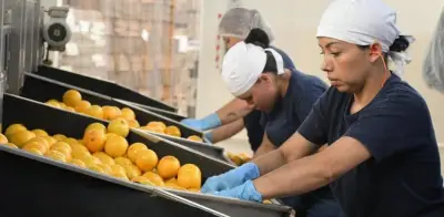 Colpensiones defiende decreto que ordena giro de 25 billones de pesos