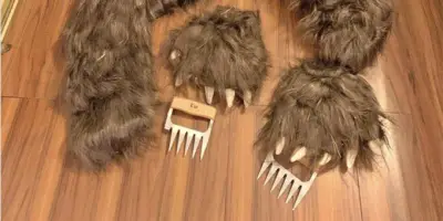 Condenan a tres por disfrazarse de oso para estafar al seguro en California