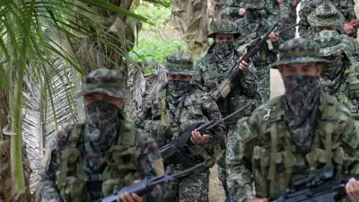 Conflicto armado en Argelia, Cauca: 20.000 personas en riesgo por enfrentamientos y desplazamientos