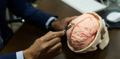 Confundir un ACV con ebriedad: un error social que retrasa atención médica y puede ser fatal