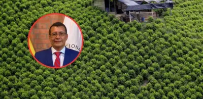 Coronel retirado analiza fracaso de erradicación forzada de cultivos ilícitos en Colombia