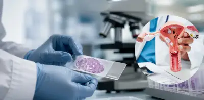 Crean primer atlas del envejecimiento del sistema reproductor femenino en la menopausia