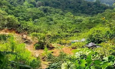 CVC alerta sobre minería ilegal en Buenaventura que afecta río Dagua y fuentes de agua