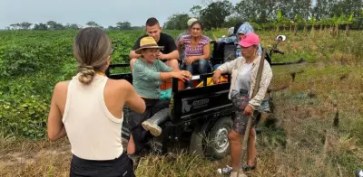 De la guerra a la siembra: campesinos de Fuentedeoro, Meta, preparan su primera cosecha histórica