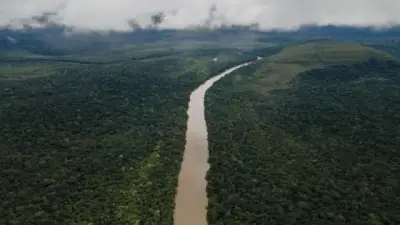 Deforestación en Colombia aumentó 6% en 2025, según reporte del Ideam