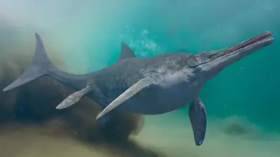 Descubren piel fosilizada de reptil marino de 120 millones de años en Boyacá