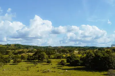 Dos adultos mayores rescatados tras extraviarse en zona rural de Montes de María