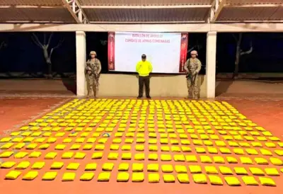 Ejército y Policía incautan 257 kilos de marihuana en operativo fronterizo de Maicao