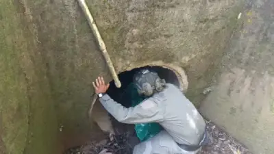 Ejército y Policía neutralizan 600 kg de explosivos en la Panamericana